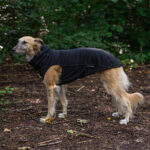 Pullover cotton black - Image 2