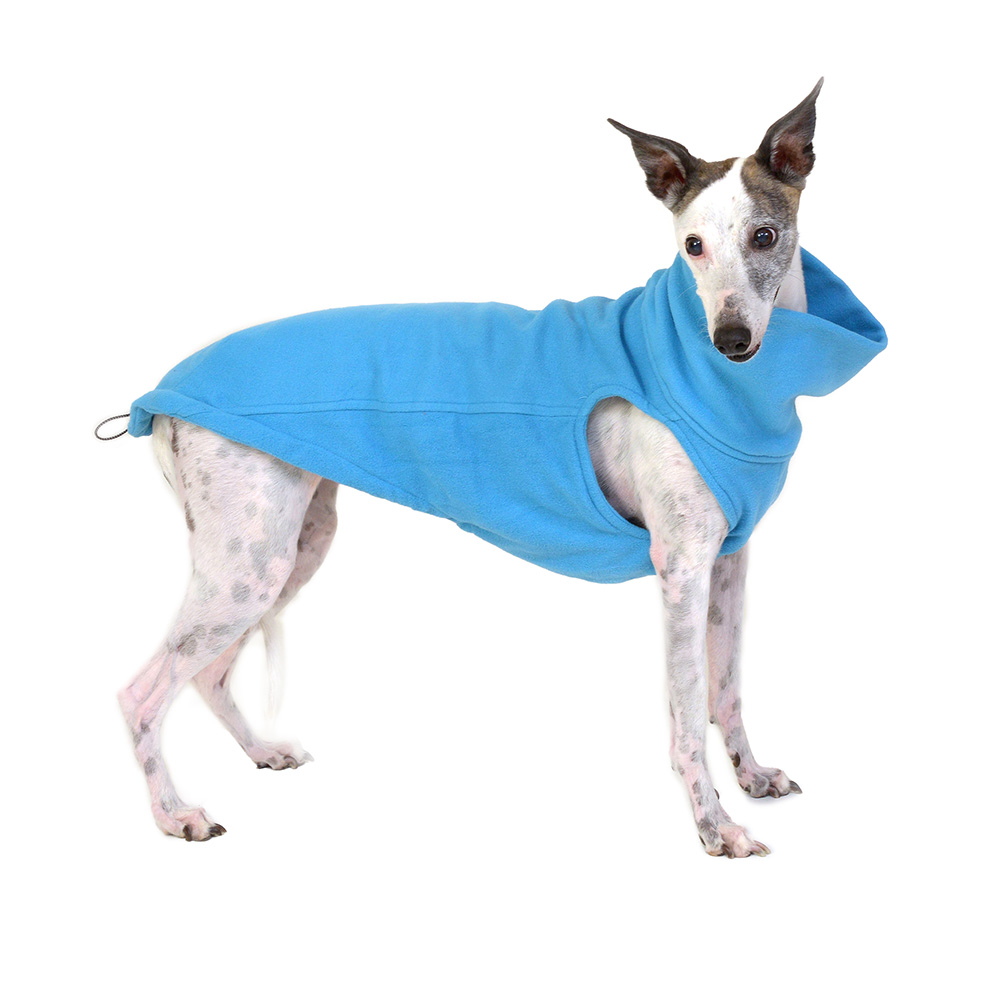 fleecebodyaqua1 Pullover fleece aqua - Image 1