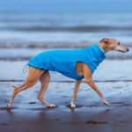 Pullover fleece aqua - Image 2