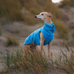 Pullover fleece aqua - Image 3