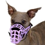 Noseband for muzzles - Image 6
