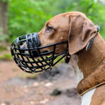 Noseband for muzzles - Image 3