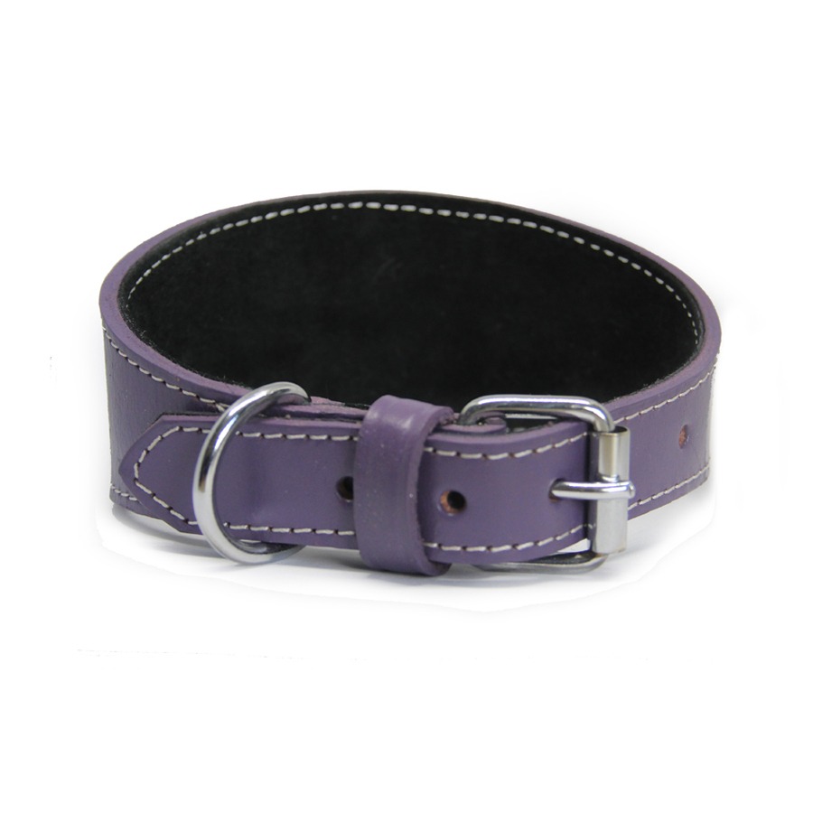 purple1 Leather collar - purple - Image 1