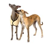 Quilted winter coat beige - Image 4