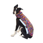 Jacket softshell rainbows (with zippers) - Image 3