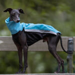 Jacket softshell aqua (with zippers) - Image 6