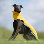 Jacket softshell & fleece yellow (with zippers) - Image 4